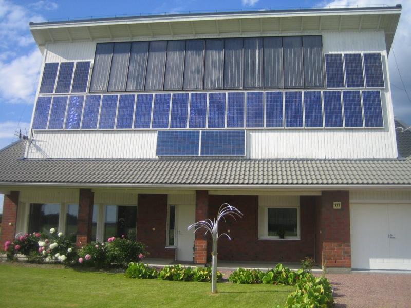Aurinkoseina_pien.JPG