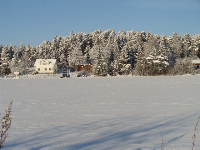 DSC05833.JPG