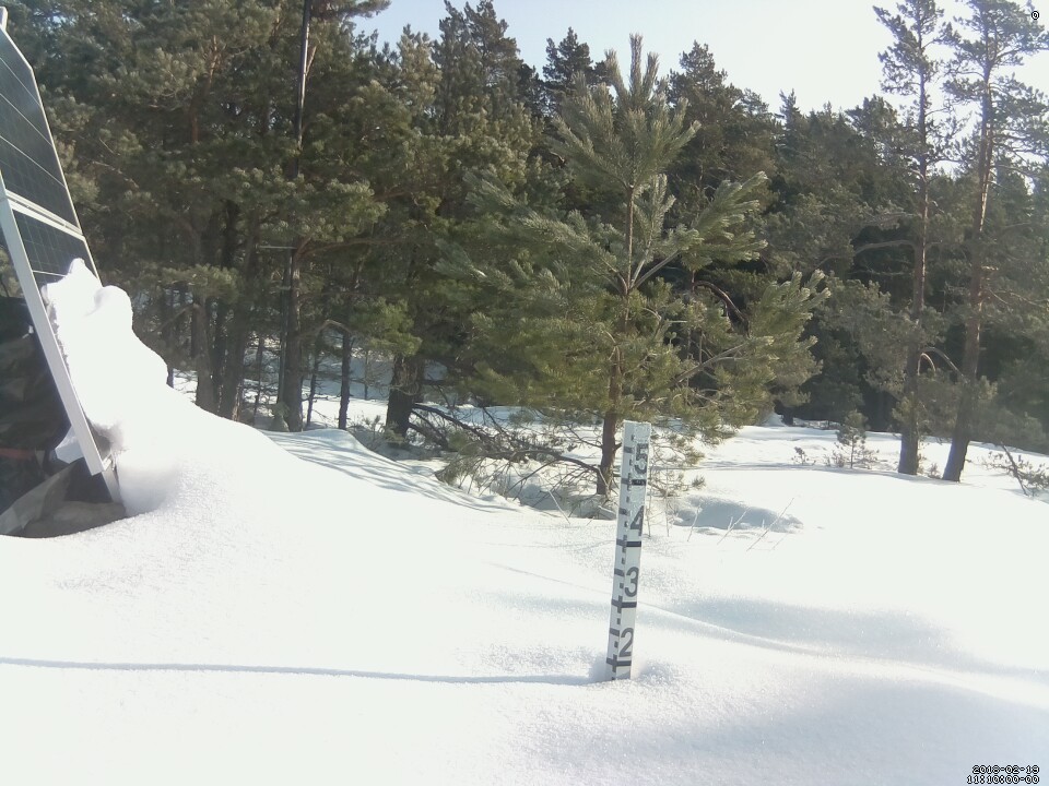 snap-20180219_111000.jpg