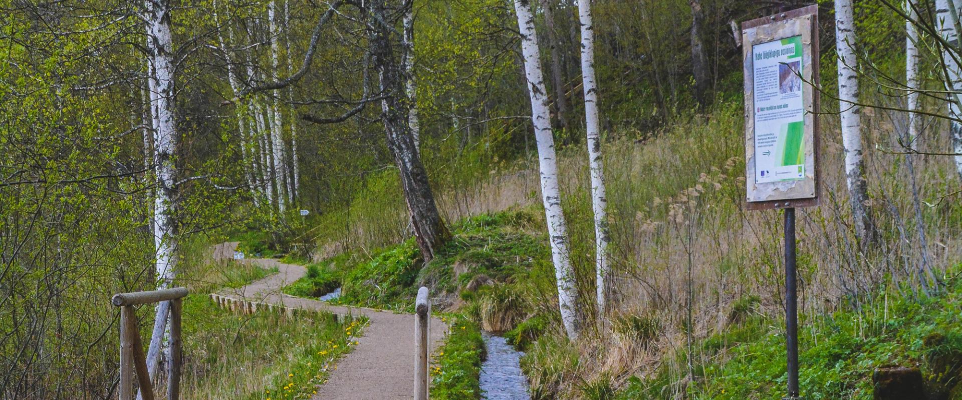 www.visitestonia.com