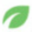 thebariatricbuzz.com